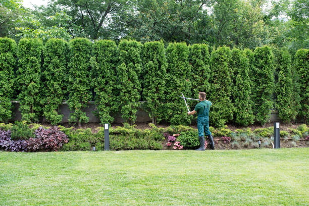 Mulching Services in Park Hills, KY