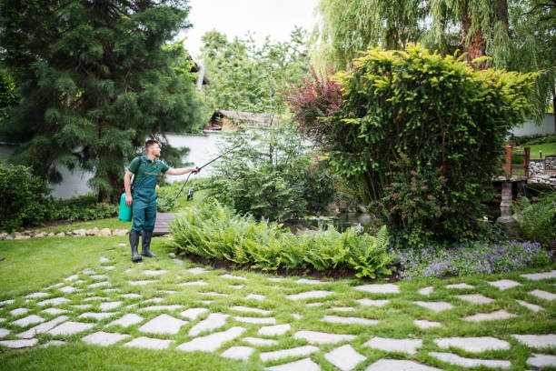 Best Lawn Disease Treatment  in Park Hills, KY