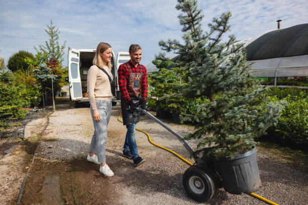 Best Lawn Drainage Solutions  in Park Hills, KY